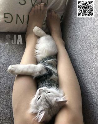 永久免费不卡的AV网站_1080电影完整版在线观看