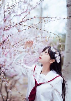 樱花视频在线观看韩国_1080电影免费在线